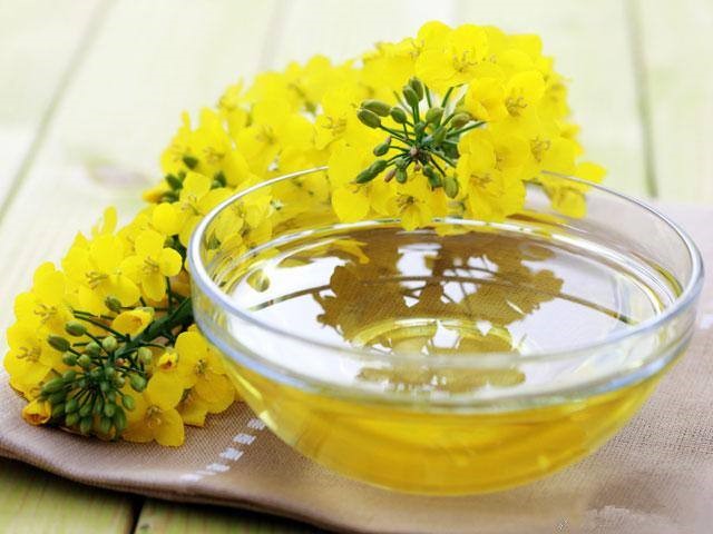 Rapeseed oil extraction machine